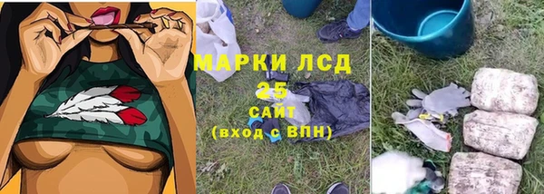 ПСИЛОЦИБИНОВЫЕ ГРИБЫ Вязьма