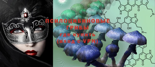 ПСИЛОЦИБИНОВЫЕ ГРИБЫ Вязьма