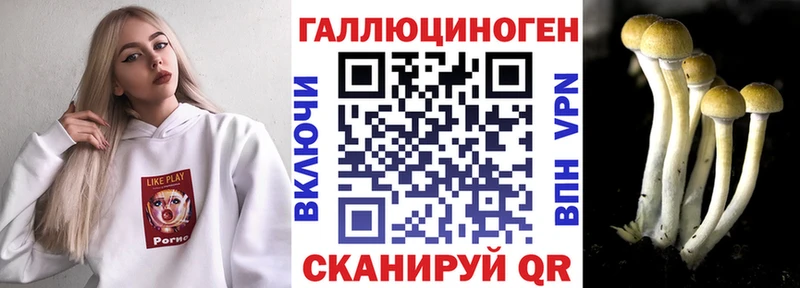 Псилоцибиновые грибы мицелий  ссылка на мегу как войти  Дагестанские Огни 
